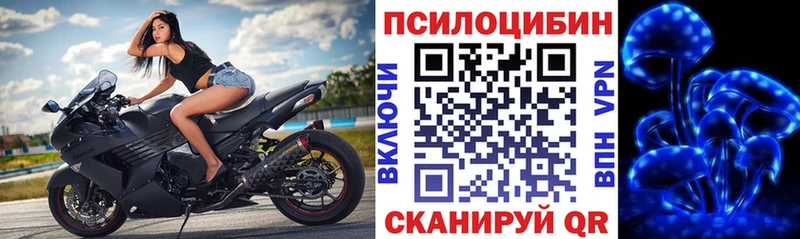 Галлюциногенные грибы Magic Shrooms Новоуральск