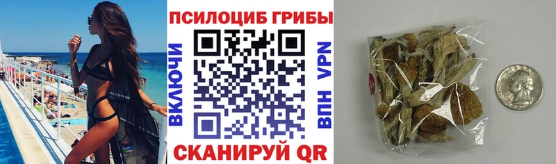купить наркотики сайты  Новоуральск  Галлюциногенные грибы MAGIC MUSHROOMS 